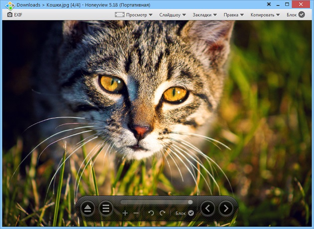 Honeyview 5.18 - просмотр картинок